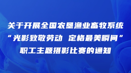 关于开展全国农垦渔业畜牧系统“光影致敬劳�?#32;定格最美瞬间”职工主题摄影比赛的通知