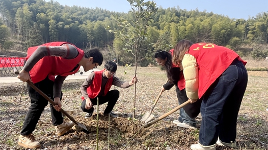 山南市开�?024年义务植树活�? title=