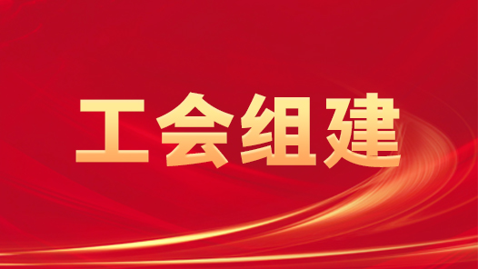 承德市百人以上企业职代会建制率达95.93%