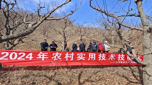河北省兴隆县开�?024年农村实用技术技能大�? title=