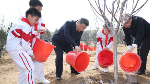 �?视点｜习近平：为建设美丽中国增绿添彩