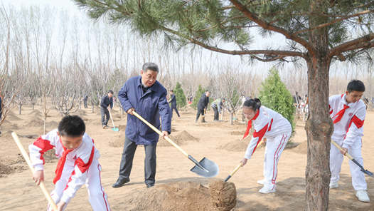 为建设美丽中国增绿添�? title=