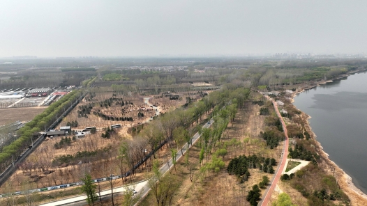 时政新闻眼｜再次参加首都义务植树活动，习近平强调绿化祖国要三者并�? title=