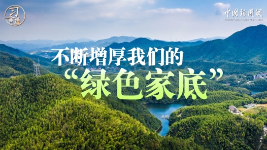 习言道｜不断增厚我们的“绿色家底�? title=
