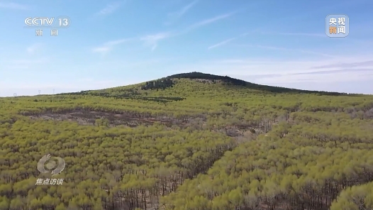 焦点访谈丨全民植树增?#32;共建美丽中国