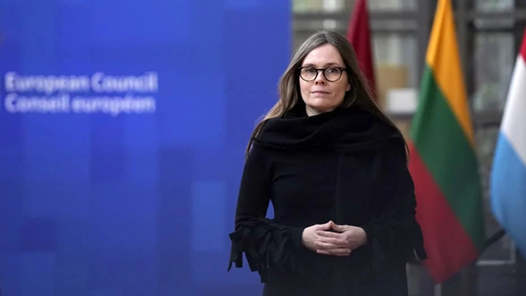 冰岛总理宣布将参选总统并辞去总理职务