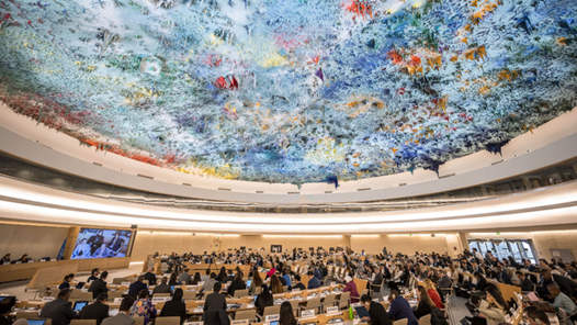 人权理事会通过涉加沙决?#32;要求对以色列“问责? title=