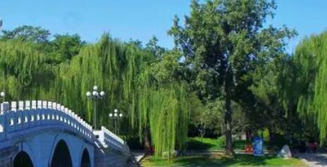 北京陶然亭公园清明假期首次开启红色研? title=