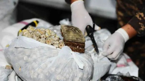 委内瑞拉今年已缴获超16.4吨毒? title=