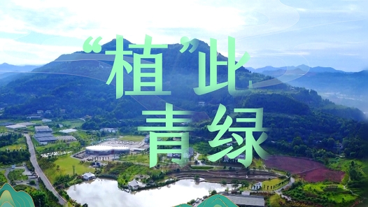 微视频｜“植”此青绿