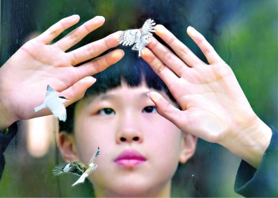 “防鸟撞”父女：我们为鸟儿飞翔导? title=