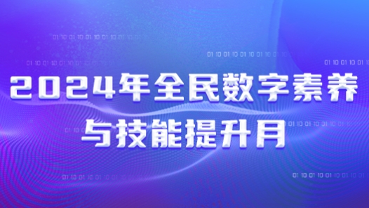 2024年全民数字素养与技能提升月