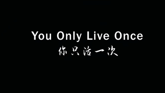 禁毒YOLO