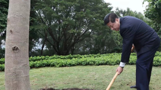 习语｜改革开放要坚定不移地走下去