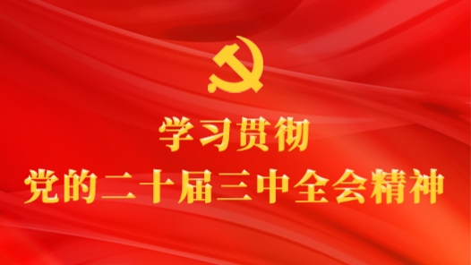 学习贯彻党的二十届三中全会精神