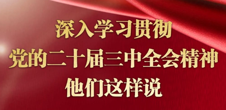 深入学习贯彻党的二十届三中全会精神，他们这样说