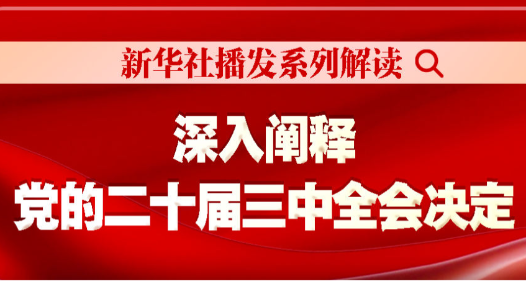 新华社播发系列解读，深入阐释党的二十届三中全会决定