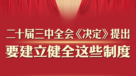 二十届三中全会《决定》提出要建立健全这些制度