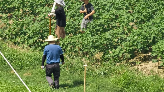 聚焦防汛抗洪｜人防物防并举 守护江湖安澜——长江中下游防汛工作一线见闻