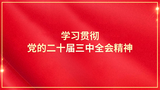 学习贯彻党的二十届三中全会精神｜学习贯彻党的二十届三中全会精神中央宣讲团在河北宣讲