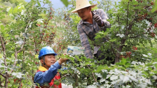 防汛关键期 各地各部门全力应对