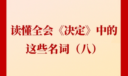 新闻多一点 | 读懂全会《决定》中的这些名词（八）