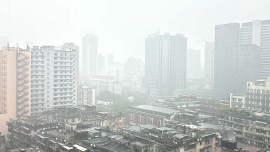 广州启动气象灾害（雷雨大风）Ⅳ级应急响应 多区黄色预警生效