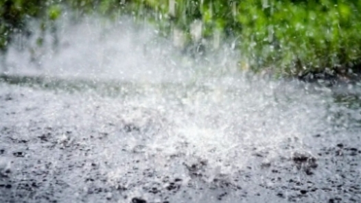 注意防范！浙江温州发布暴雨红色预警