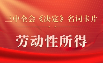 三中全会《决定》名词卡片天天学：劳动性所得