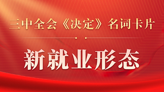 三中全会《决定》名词卡片天天学：新就业形态