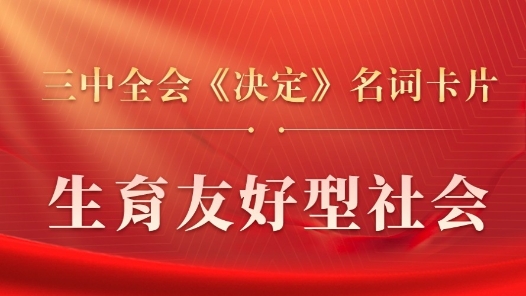 三中全会《决定》名词卡片天天学：生育友好型社会