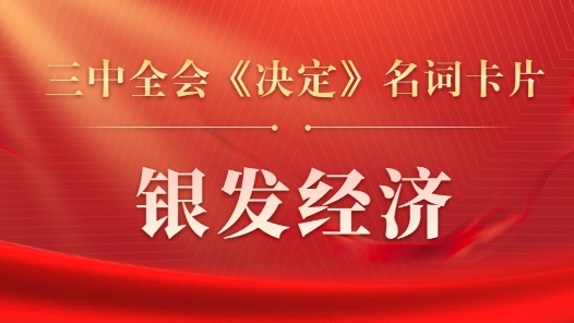 三中全会《决定》名词卡片天天学：银发经济