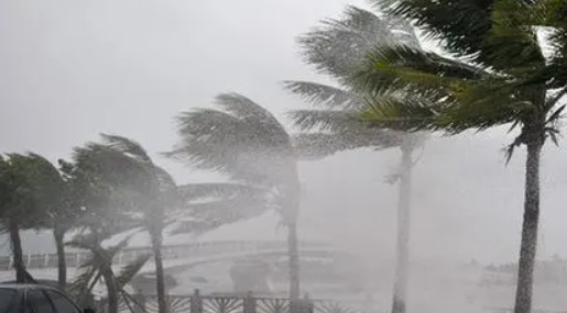 超强台风“摩羯”将于今日登陆 华南地区有强风雨