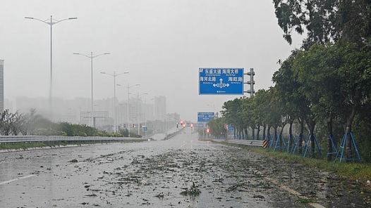 台风“摩羯”造成海南4人死亡 95人受伤