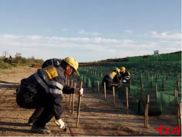 搭建尼龙网格沙障。中工网记者尹文卓　摄2