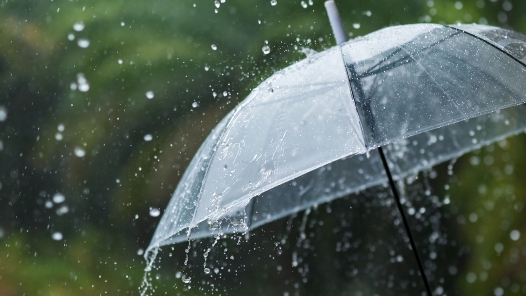 上海发布暴雨黄色预警 启动防汛防台Ⅲ级响应